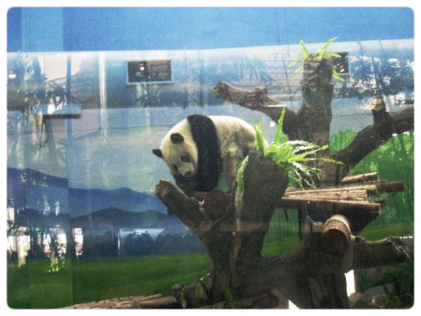 圓角邊框15.jpg
