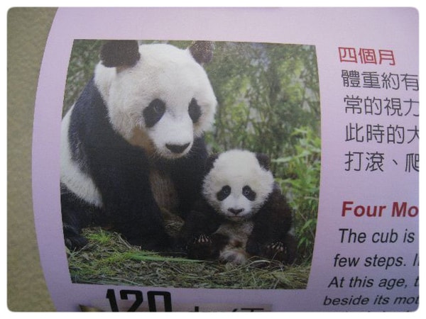圓角邊框12.jpg