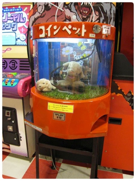圓角邊框187.jpg