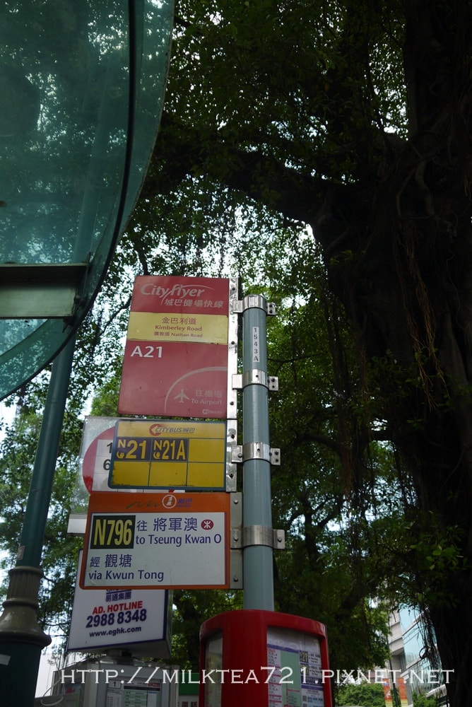 02.JPG