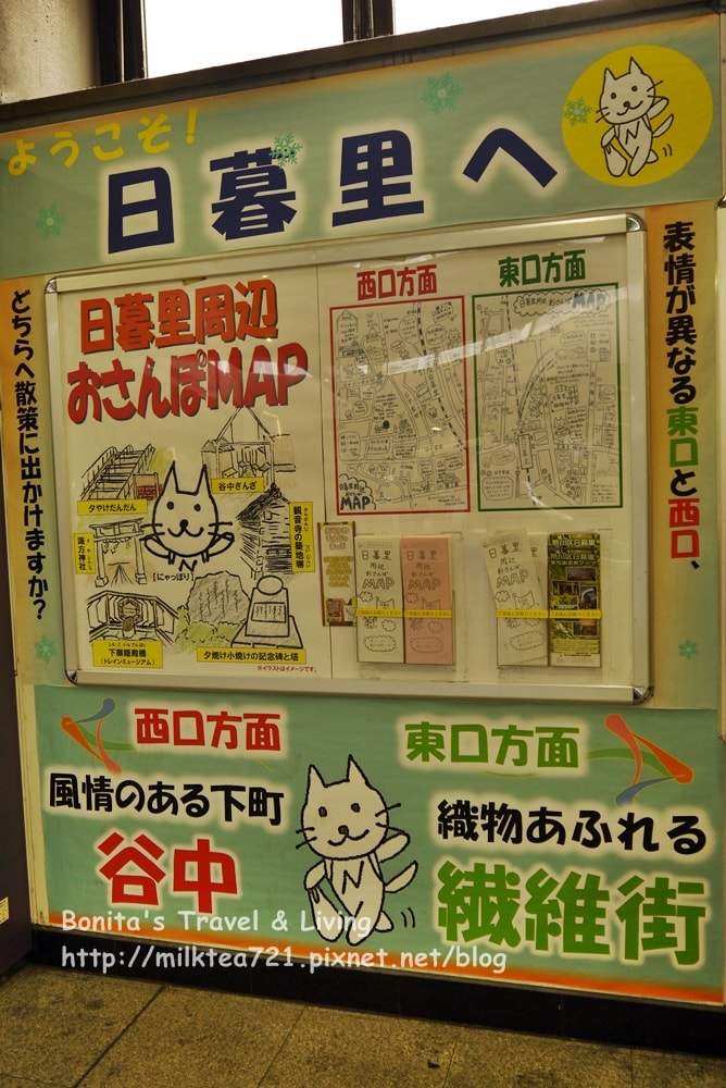 60.JPG