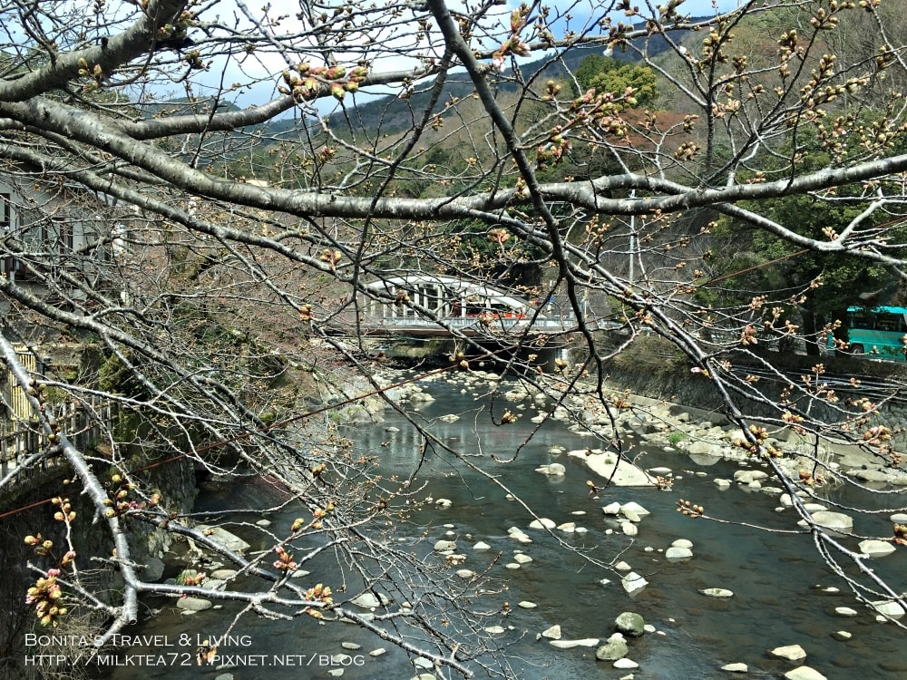 箱根岡田85.jpg 箱根岡田85.jpg