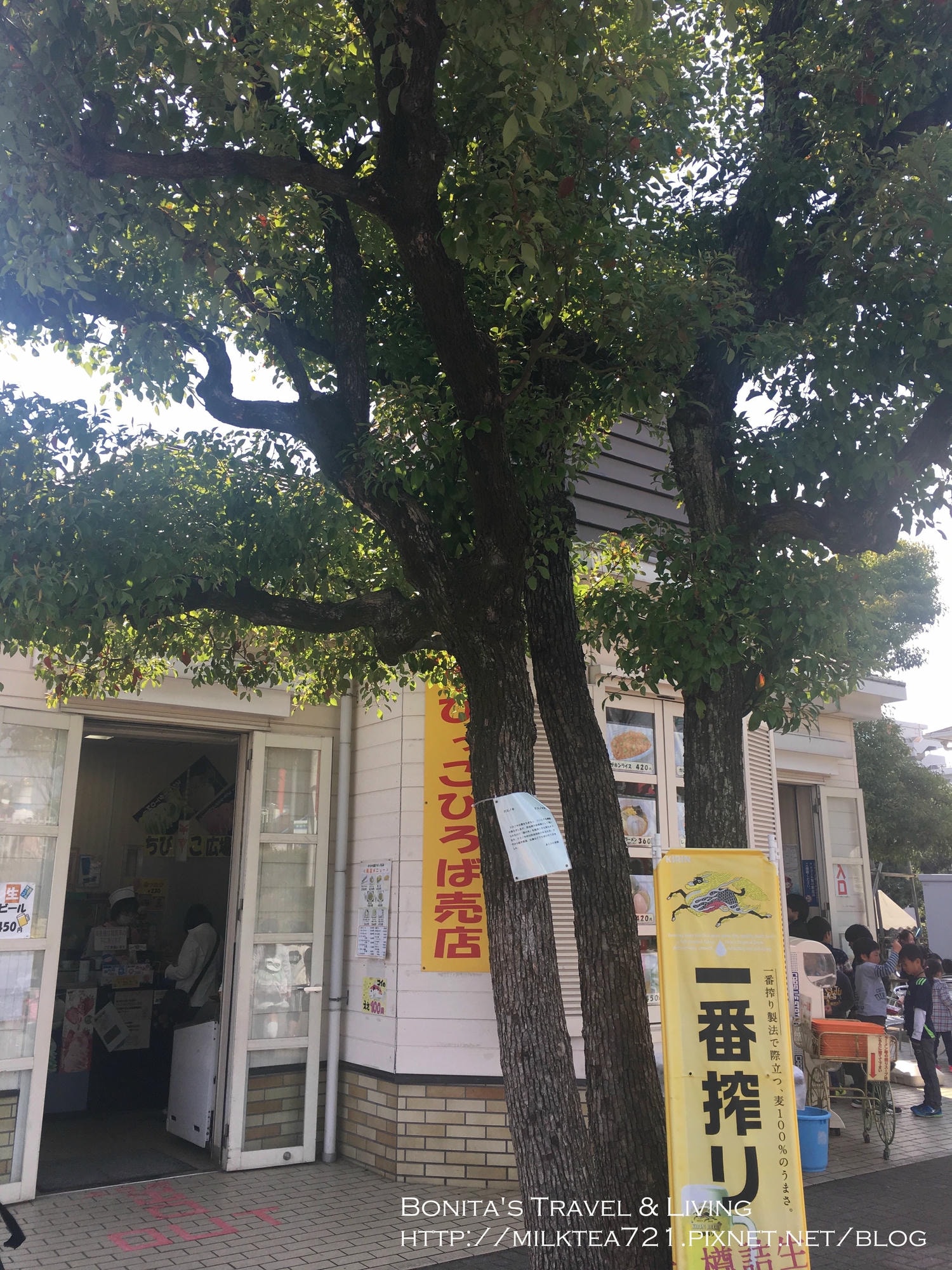 都電荒川線22.jpg