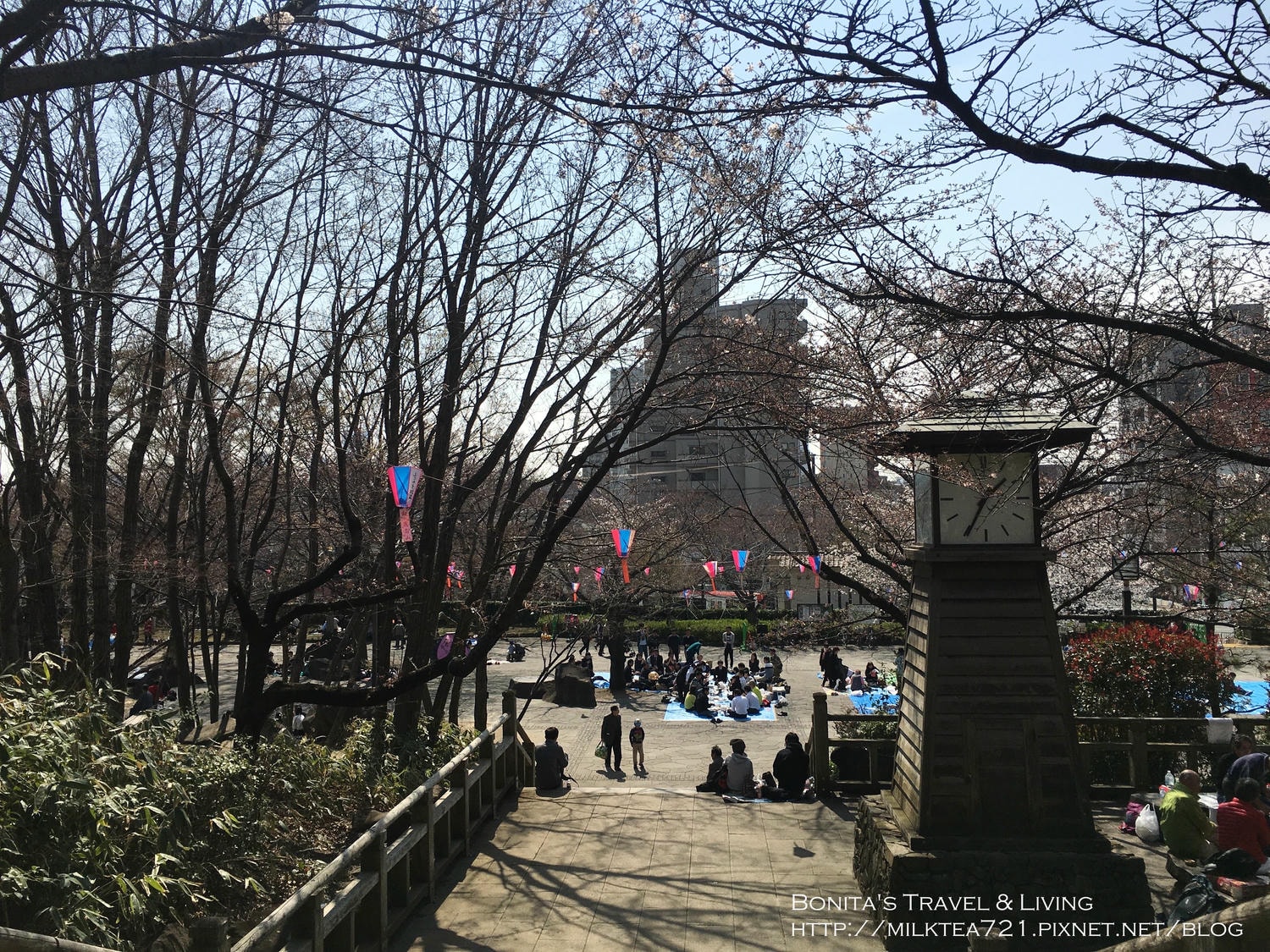 都電荒川線41.jpg