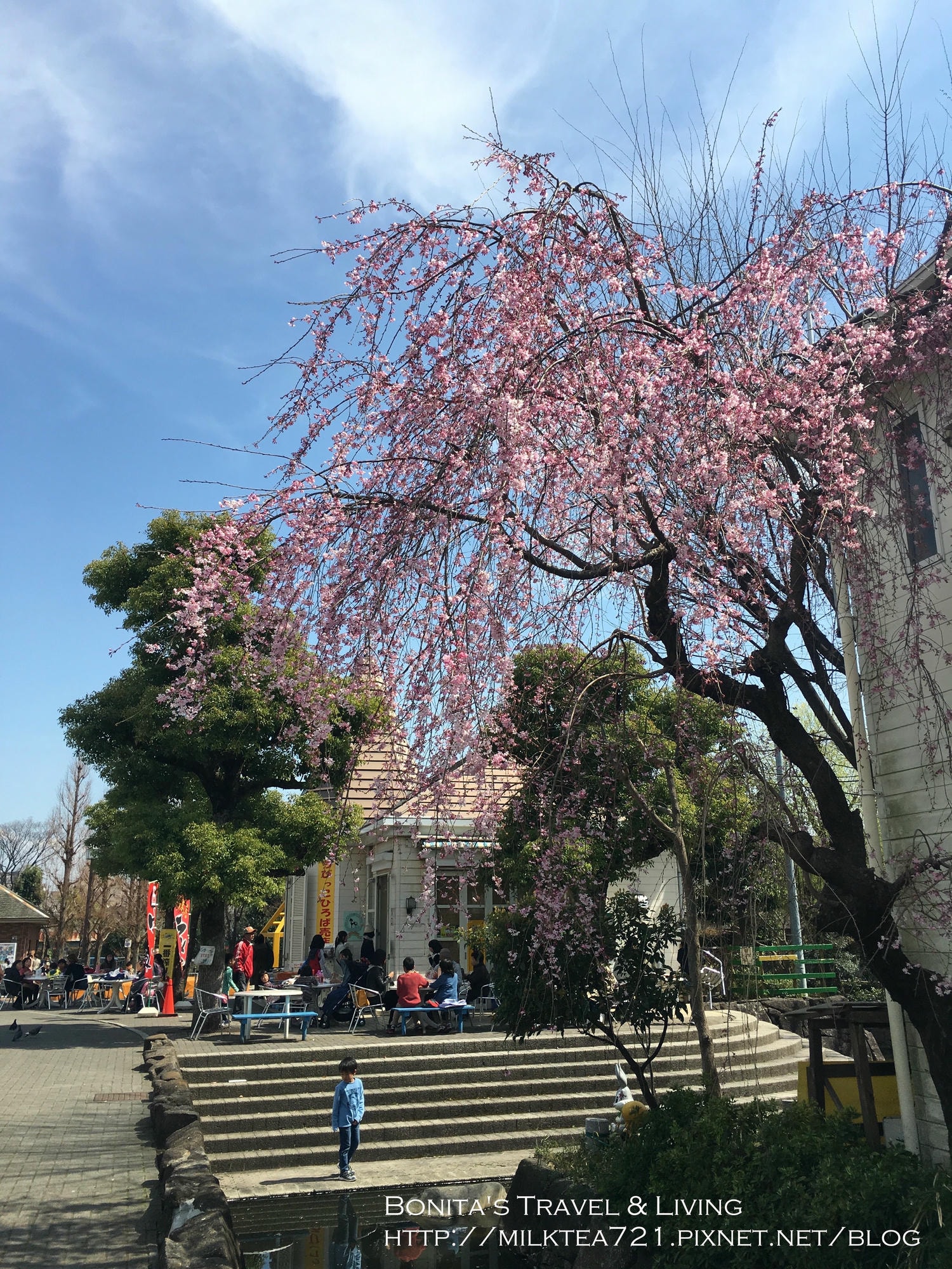 都電荒川線26.jpg