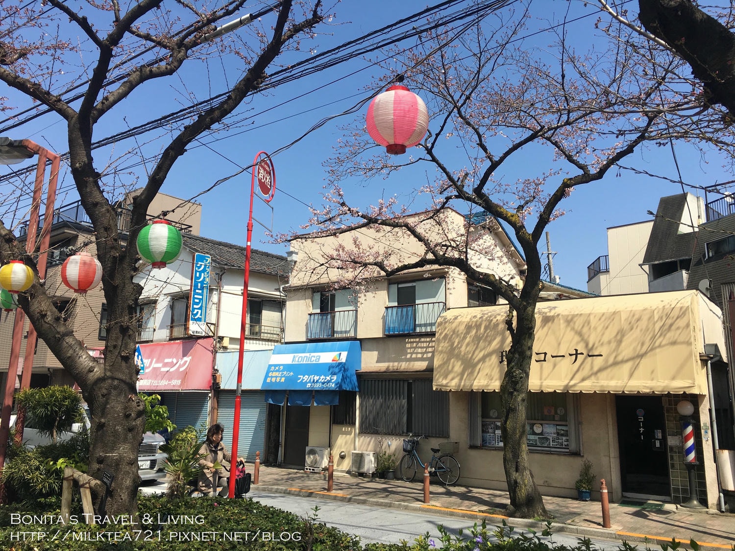 都電荒川線12.jpg