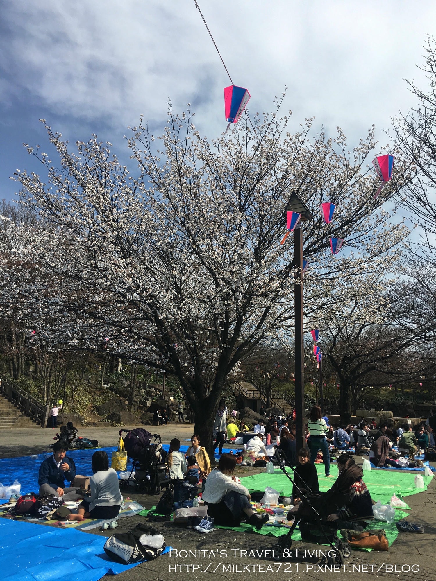 都電荒川線42.jpg