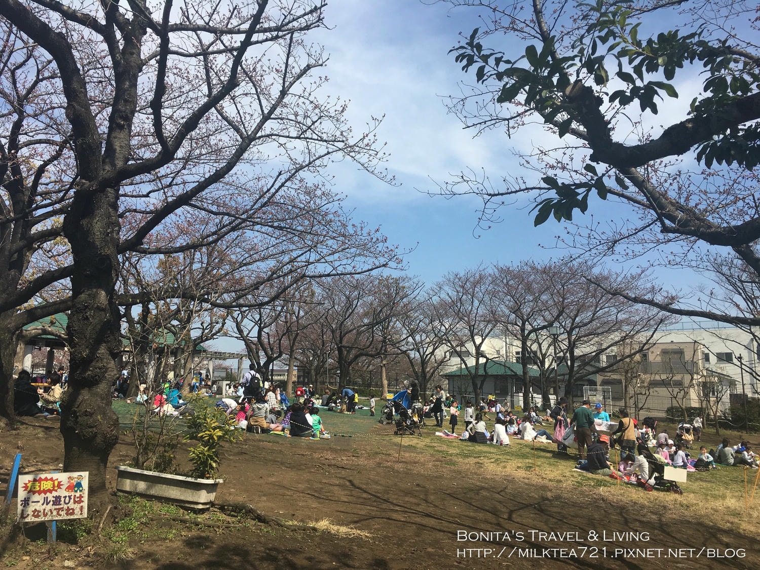 都電荒川線24.jpg