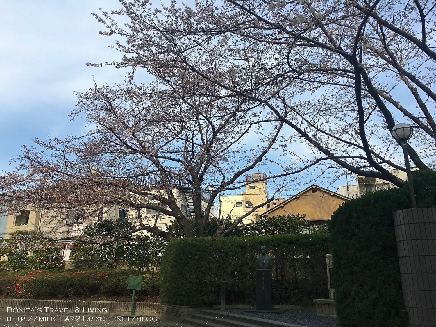 都電荒川線48.jpg