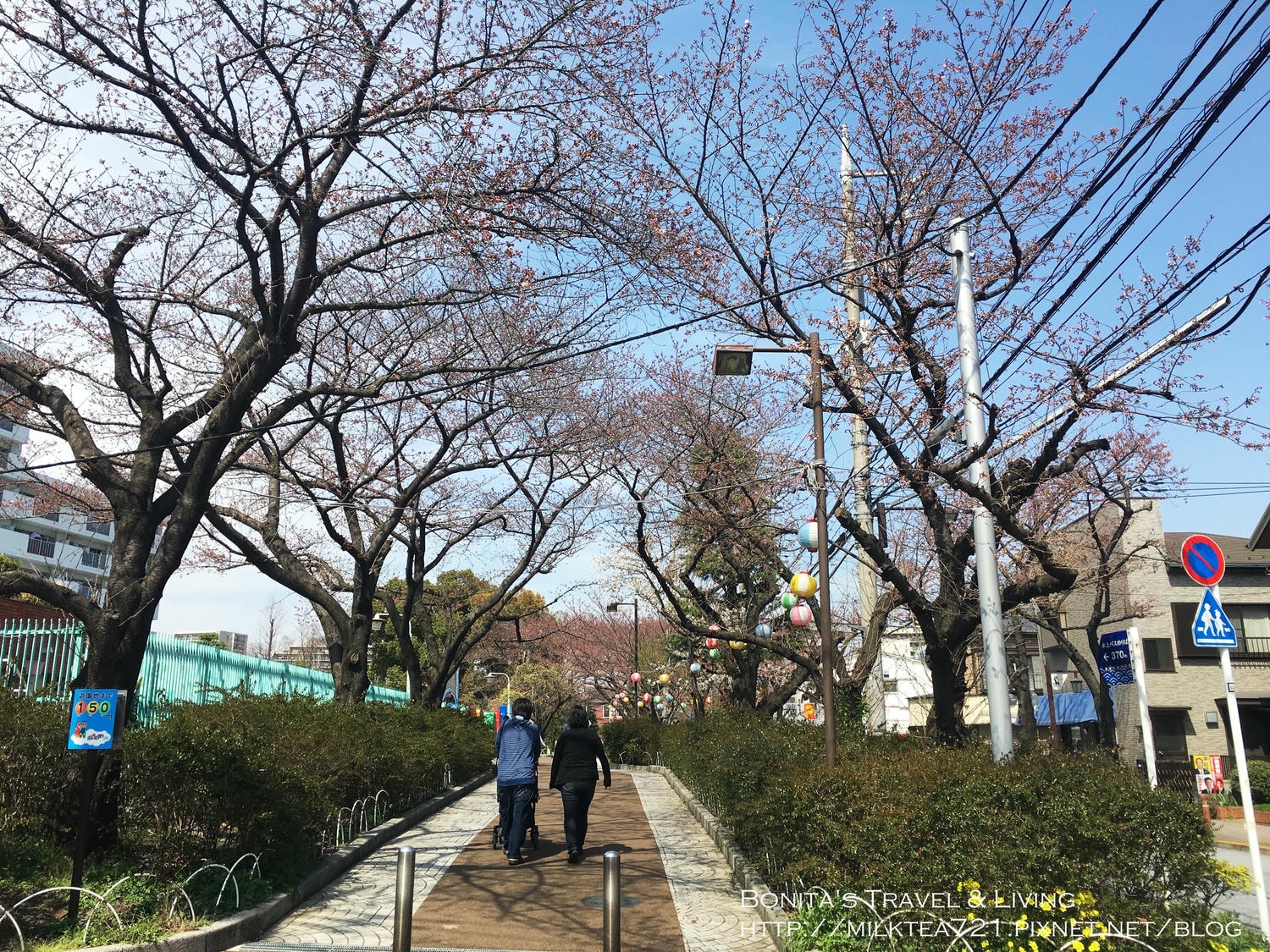 都電荒川線11.jpg