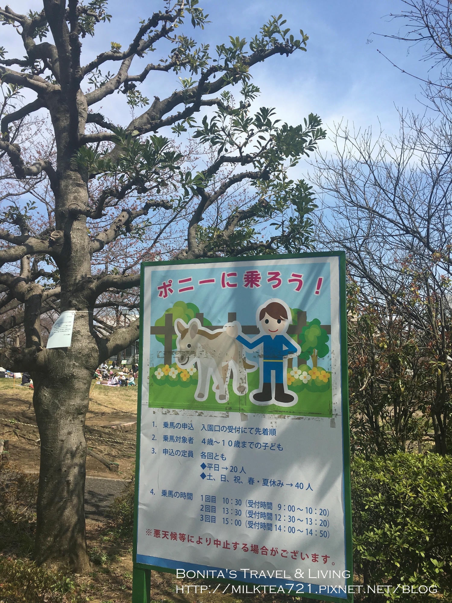 都電荒川線21.jpg