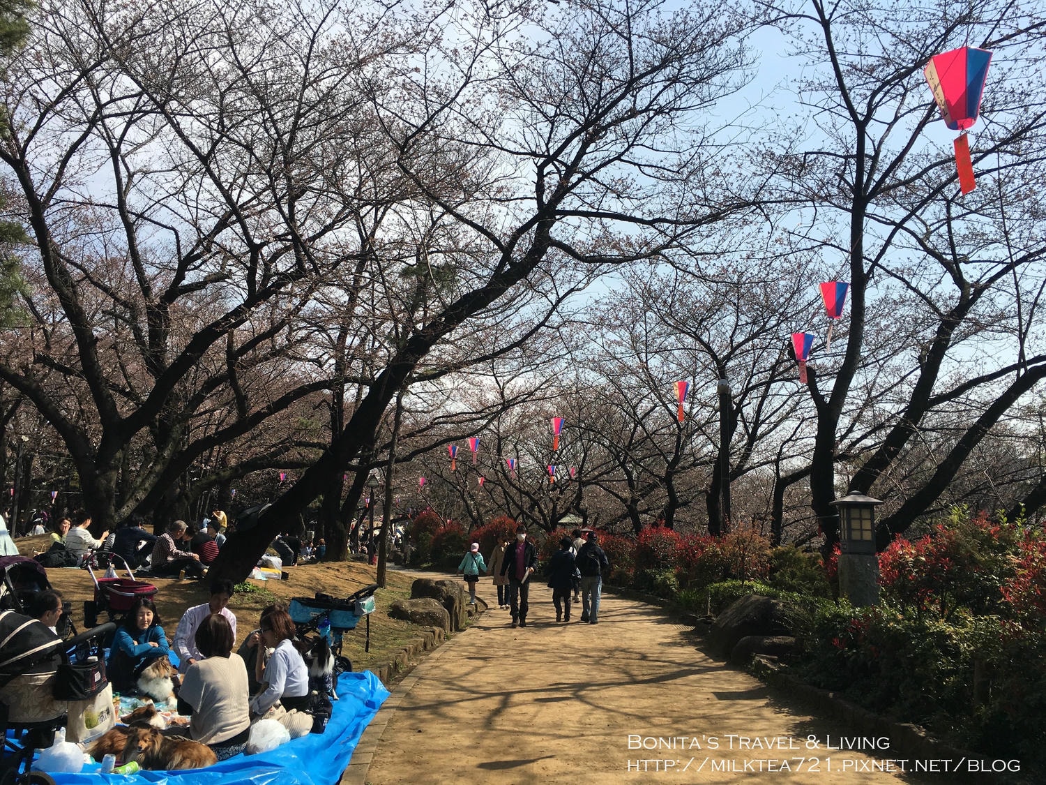 都電荒川線43.jpg